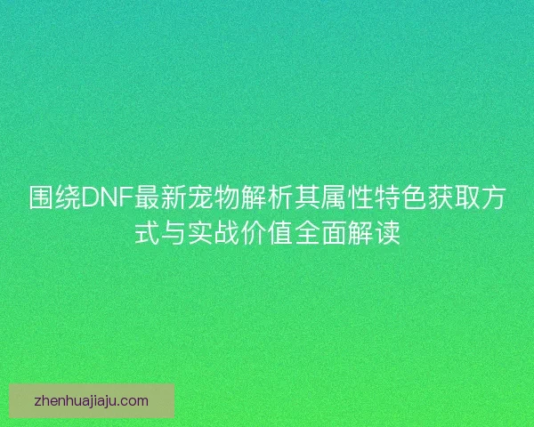 围绕DNF最新宠物解析其属性特色获取方式与实战价值全面解读